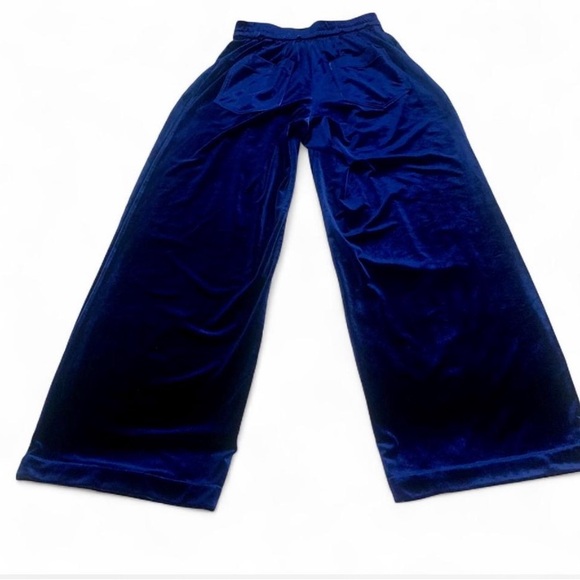 Roucha Vaga pants royal blue velvet wide leg  AA size small pull on pleat front - Picture 6 of 11